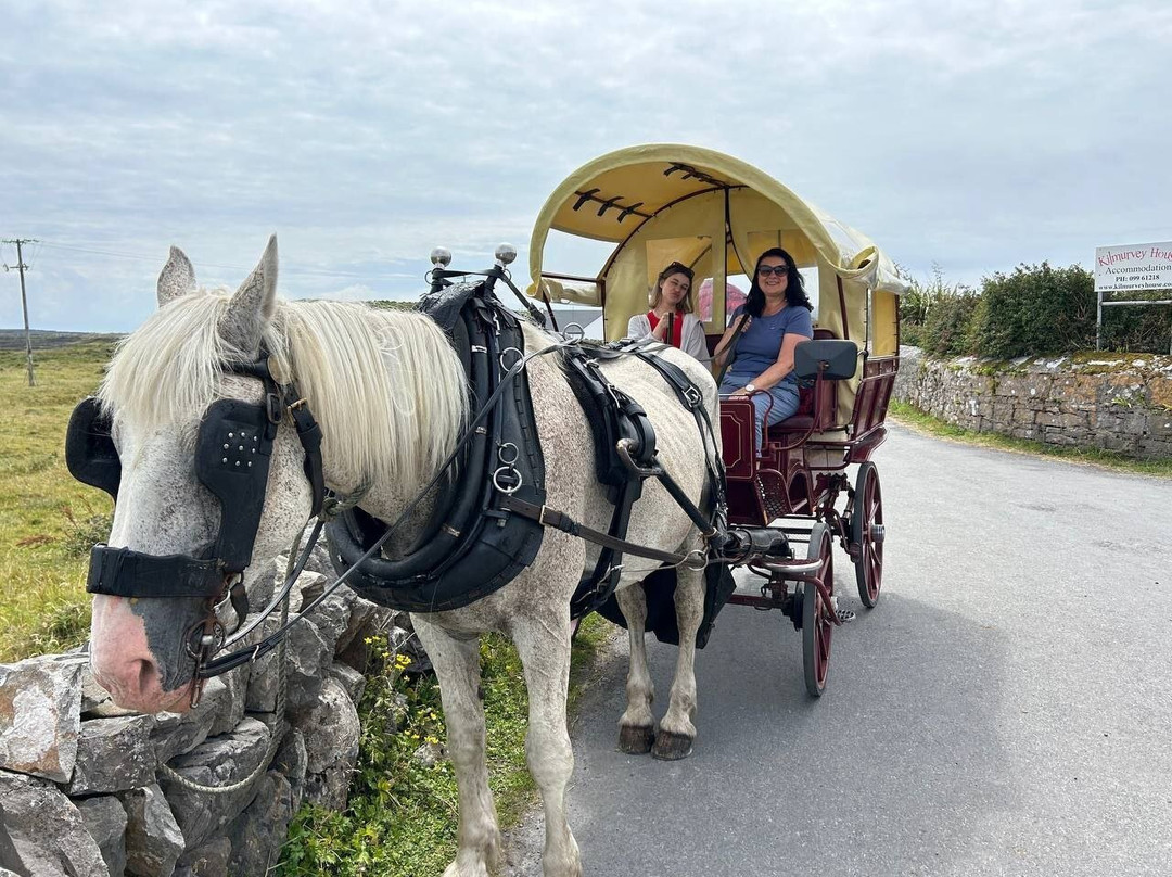 Unique Tours Ireland-Ballyconnell必去景点
