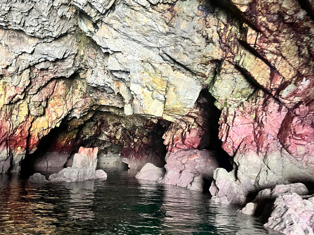 Vedettes Sirenes - Grottes Marines de Morgat-Morgat必去景点