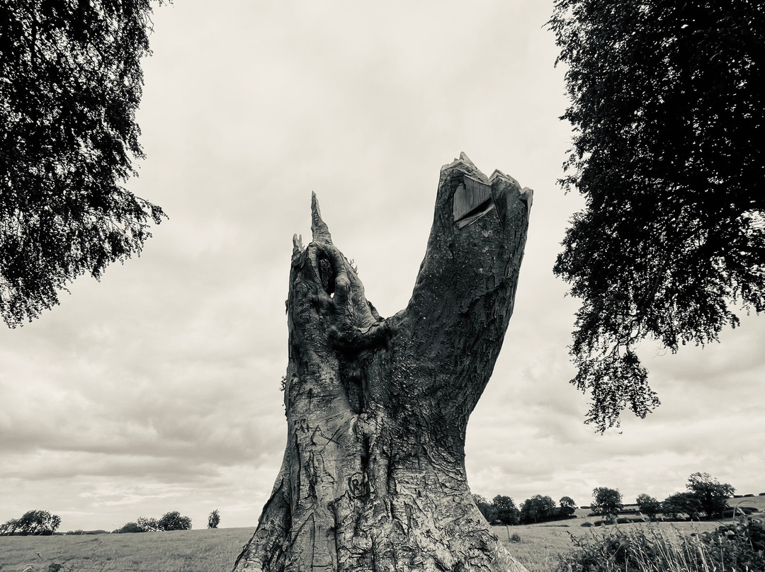 The Dark Hedges-巴利马尼必去景点