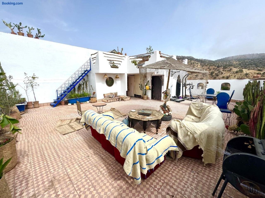 Zawya Spot