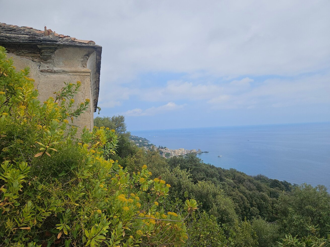 Corsica Loisirs Aventure