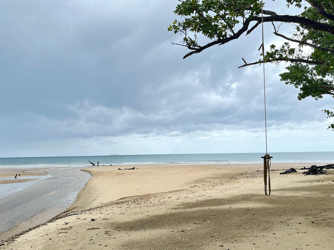 Cow Bay Beach-Cow Bay必去景点
