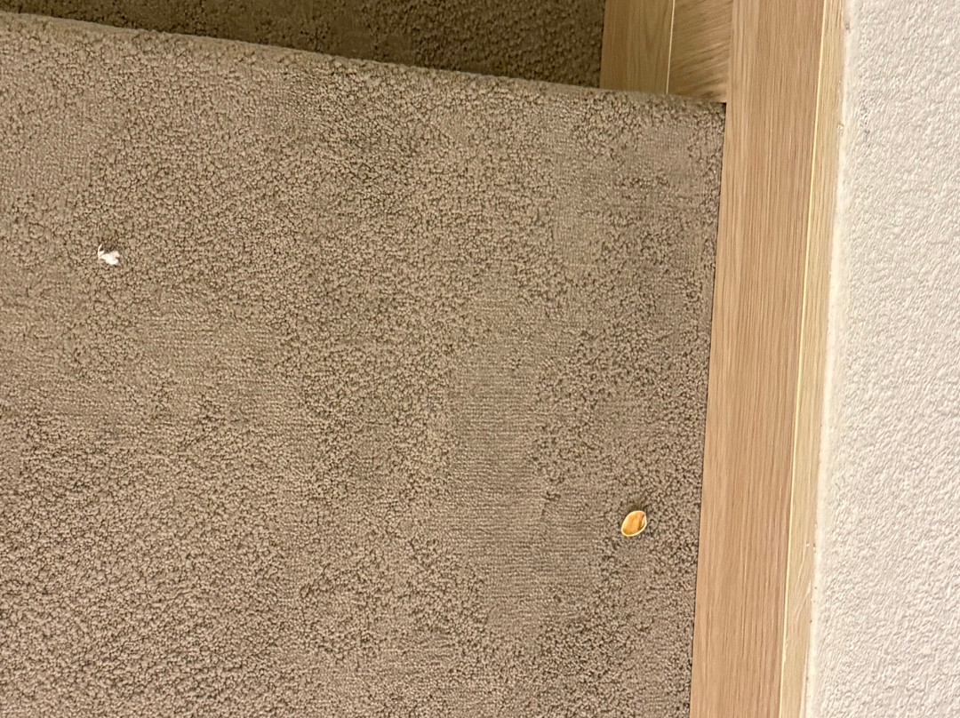 阿尔平公寓酒店主图