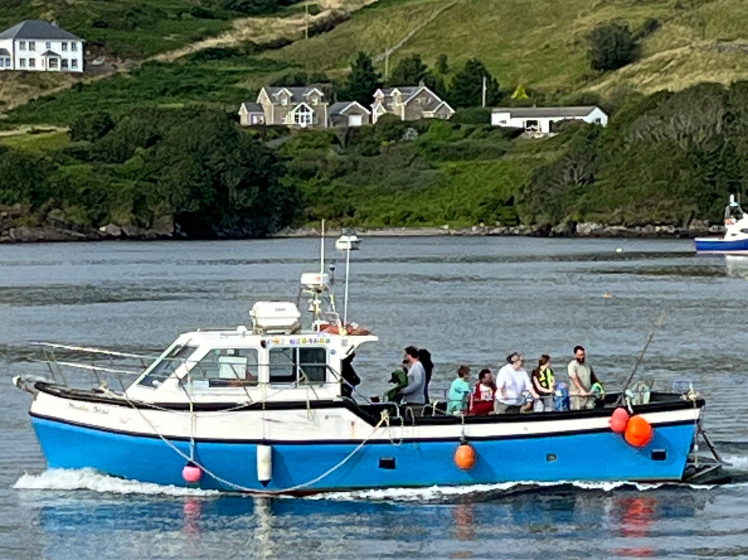 Sliabh Liag Boat Trips-Teelin必去景点