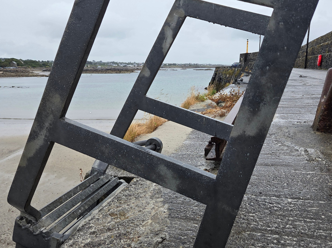 Bláthanna Fiáine Wildflower Walks-Inishmann必去景点