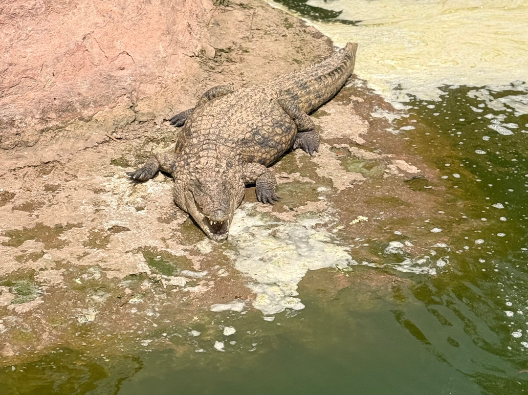 Crocopac-阿加迪尔必去景点