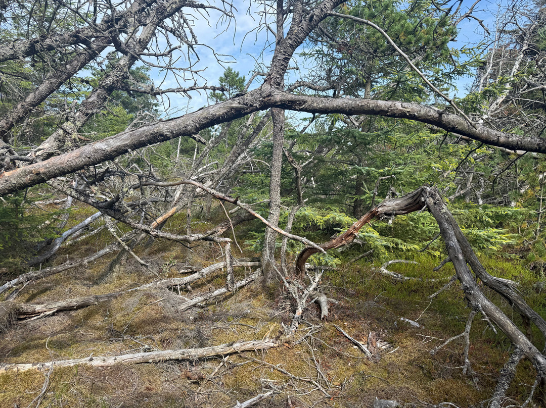 Thy National Park-Hurup必去景点