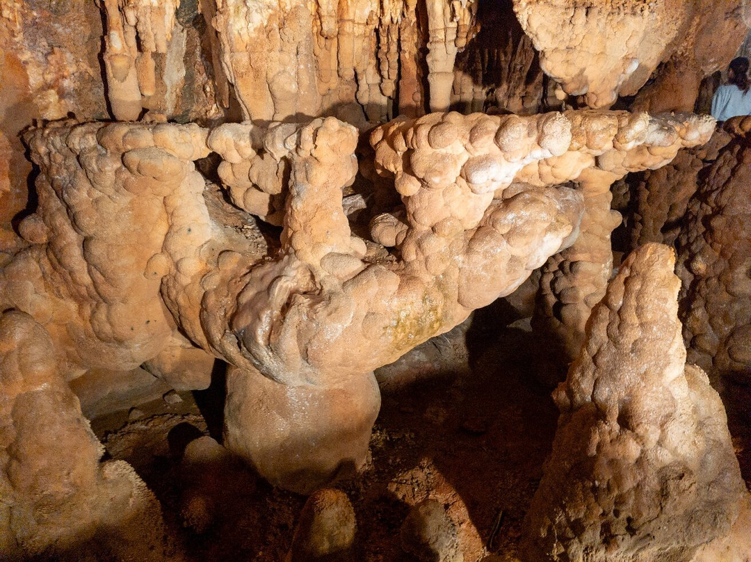 Grotte di Toirano-Toirano必去景点