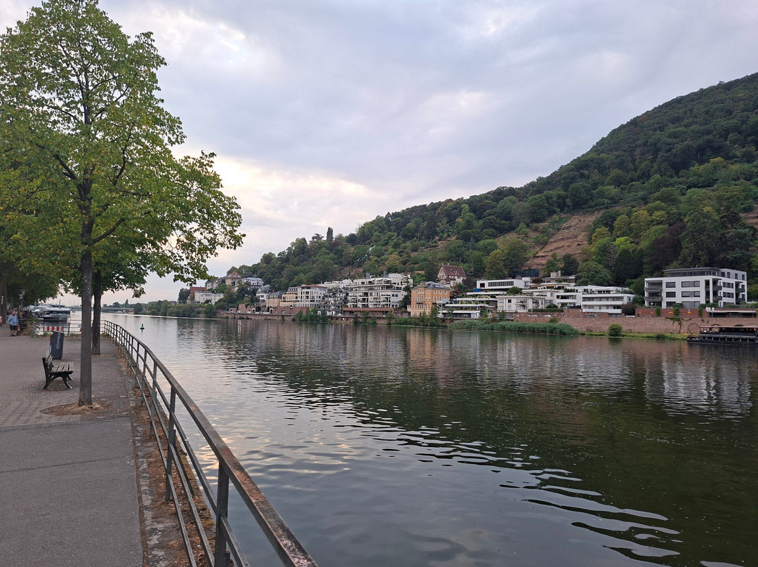 Neckar River-海德尔堡必去景点