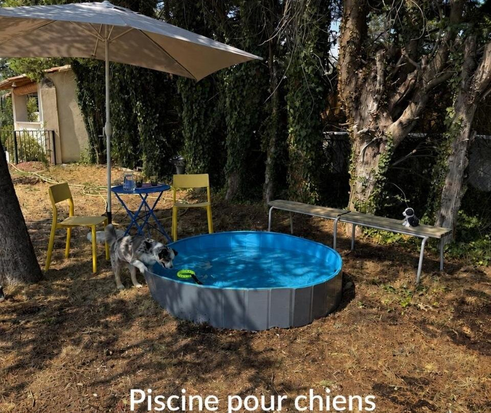 Gîtes Violettes et Amandier
