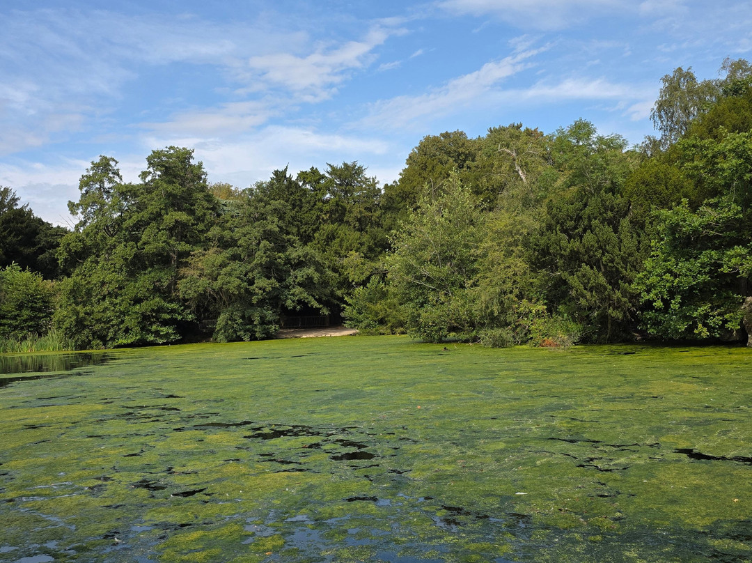 Elvaston Castle and Country Park-Elvaston必去景点