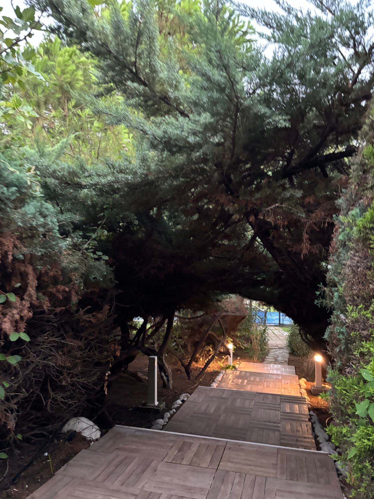 海豚大度假酒店-旅行者