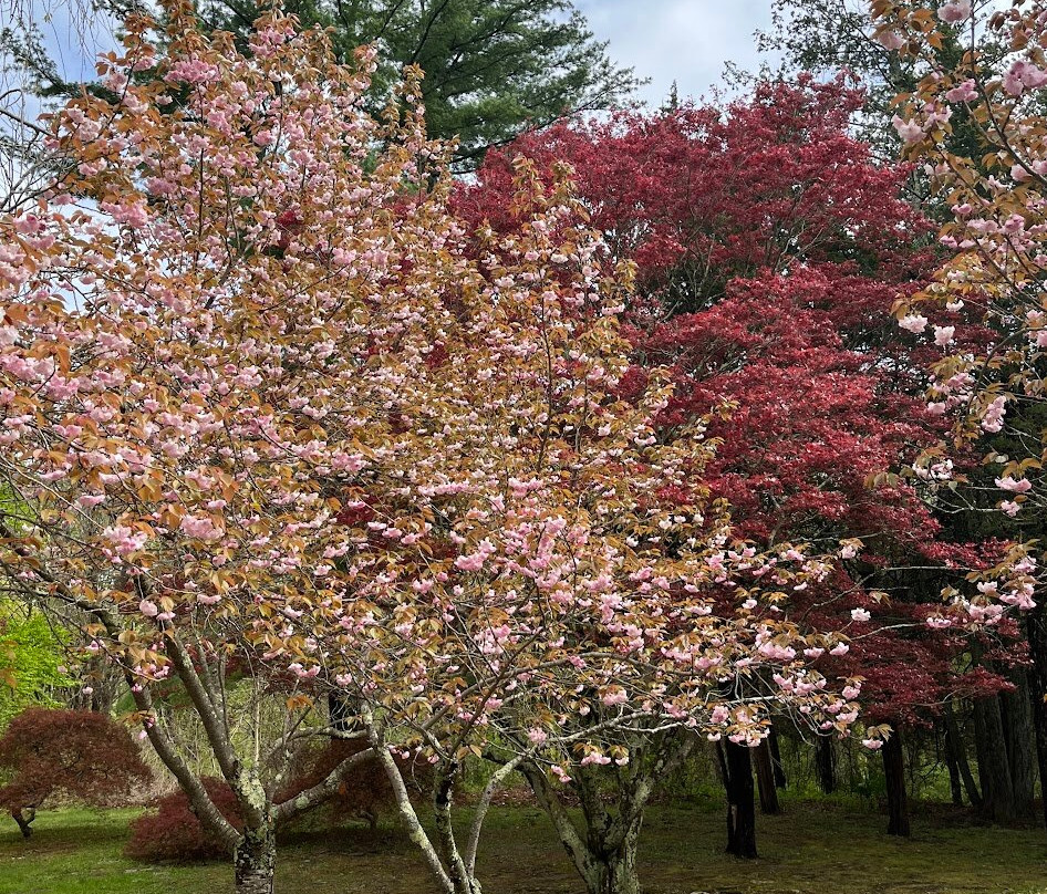 Hammond Museum and Japanese Stroll Garden-North Salem必去景点