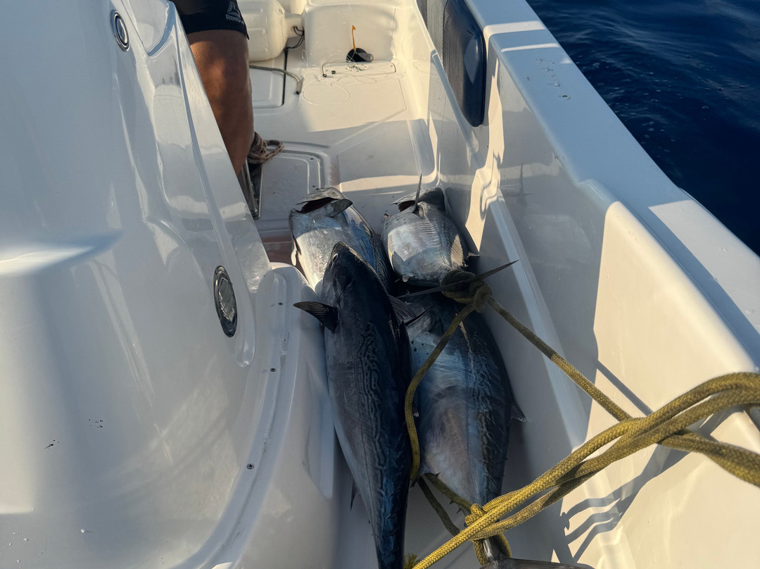 Mister Fish Fishing Charter Malta