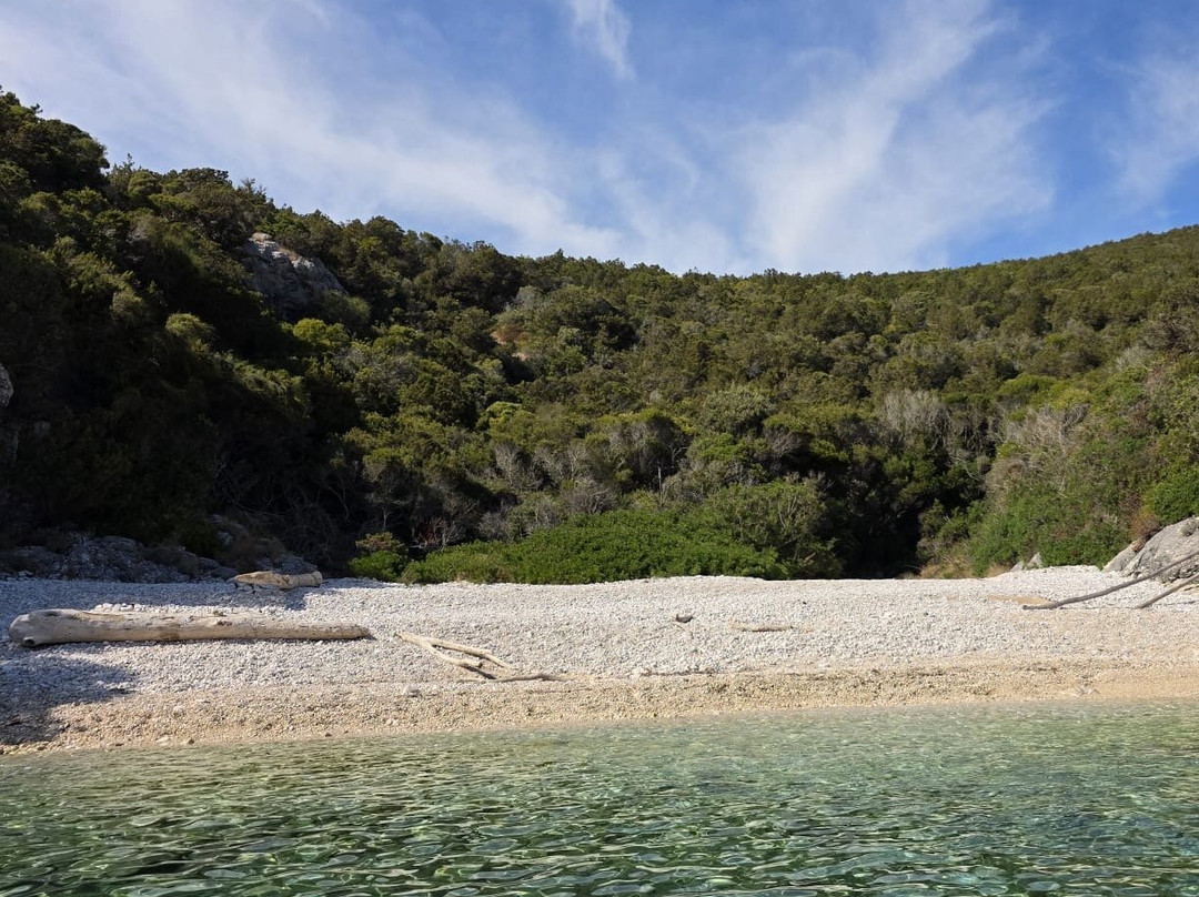 Feel Adriatic Nature Boat Tours Zadar-扎达尔必去景点