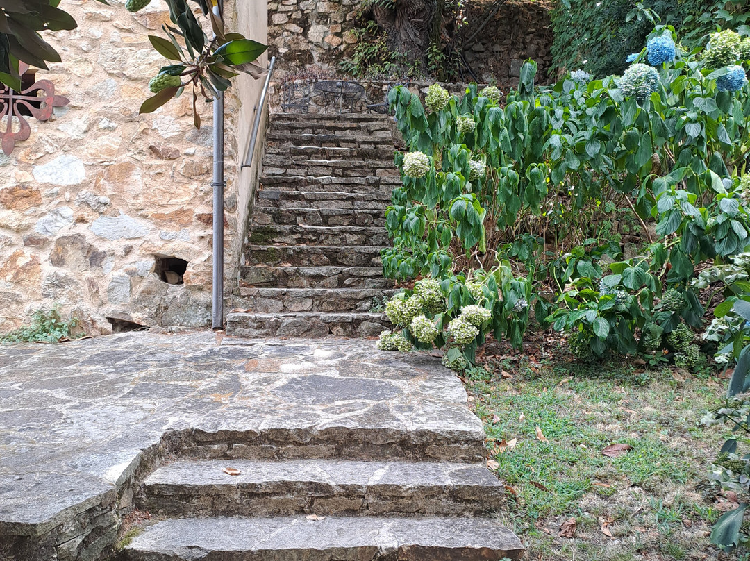 Finca El Carpintero主图