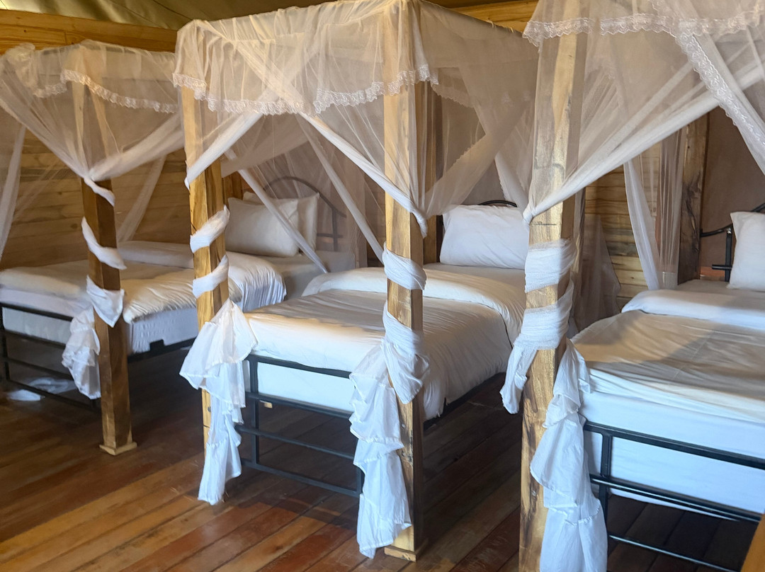 OSOTUA TENTED CAMPS-Ikoma必去景点