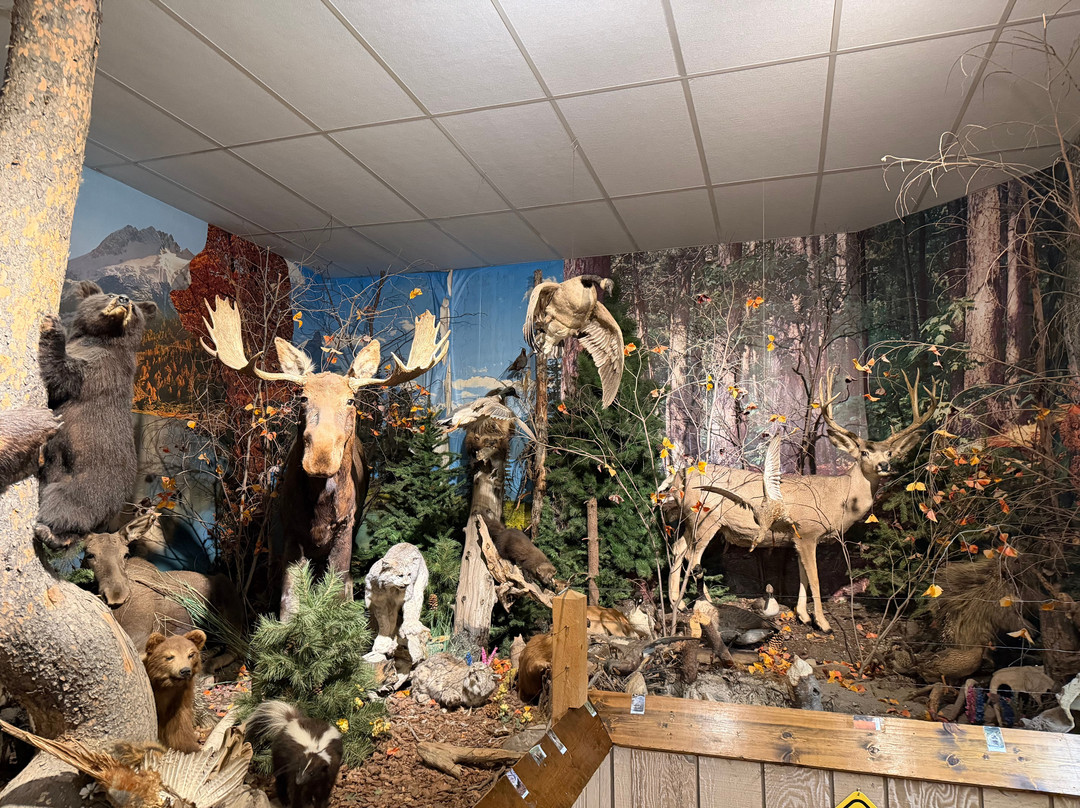 Yellowstone Trading Post-库克城必去景点