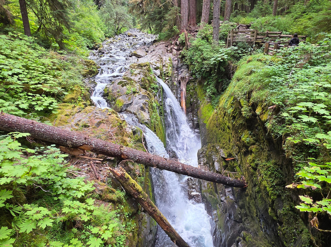 Sol Duc Falls-奥林匹克国家公园必去景点