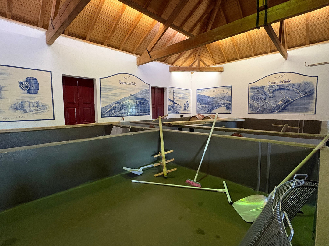 Quinta do Tedo主图