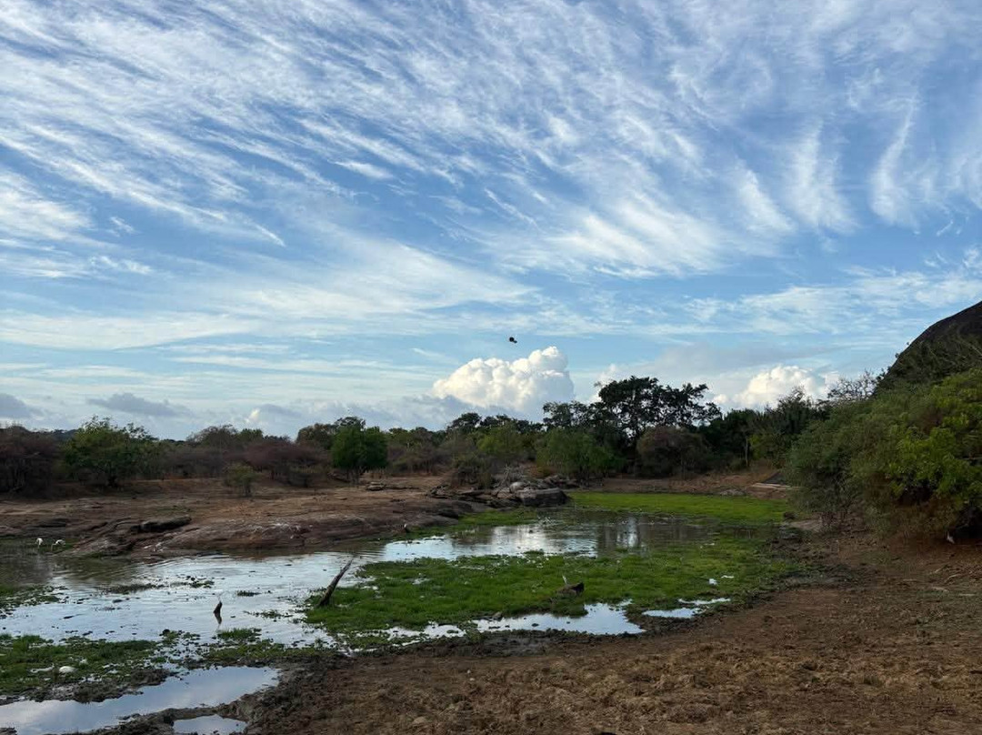 Sri Lankan Triptip - Explore the Island-Kamburugamuwa必去景点