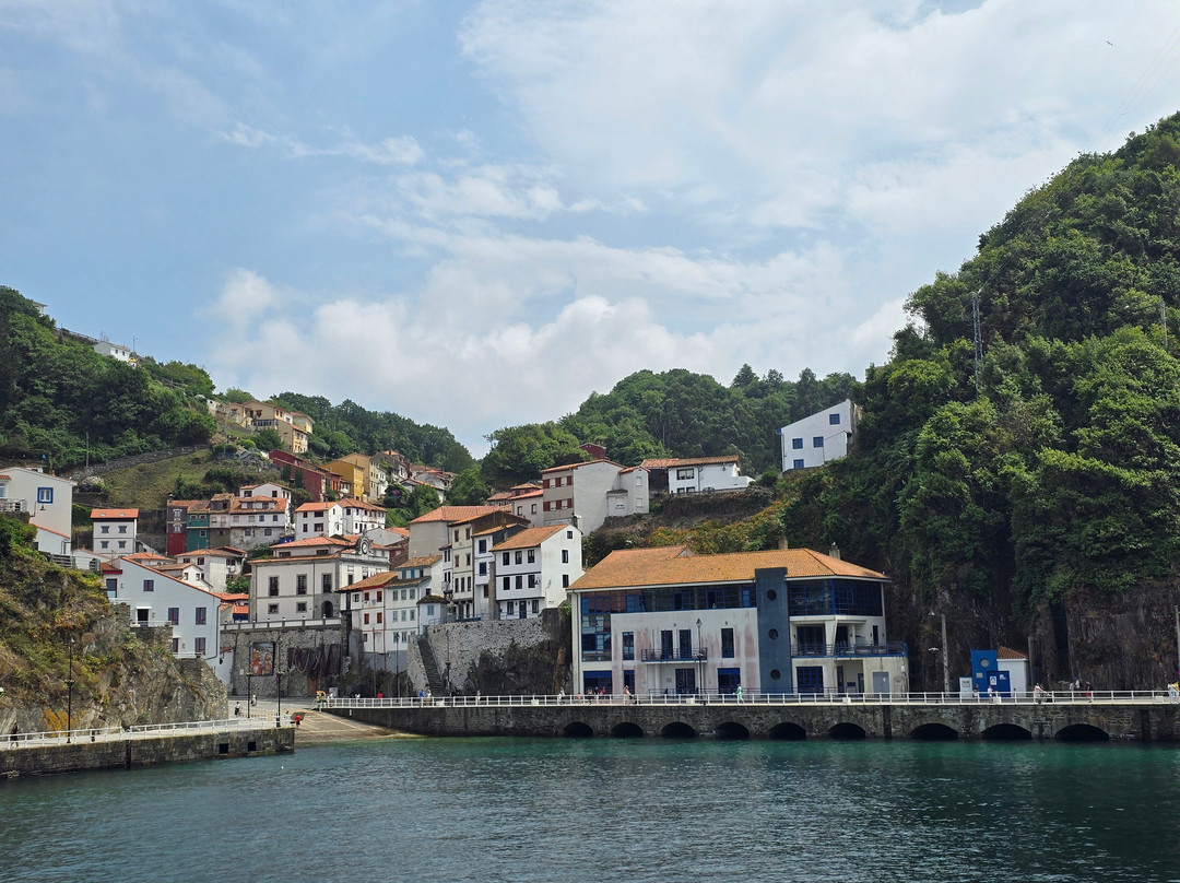 Puerto Pesquero-库迪列罗必去景点