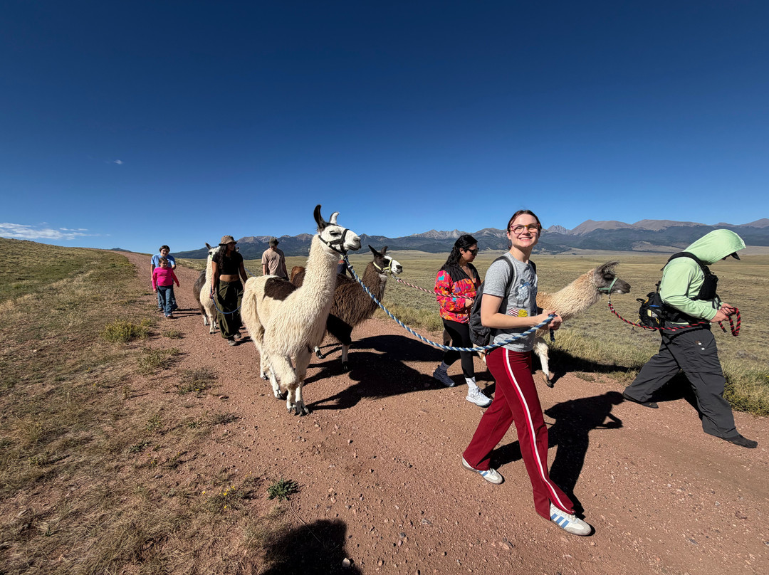 Llama Trekking by Lookin Up Outfitters-Westcliffe必去景点