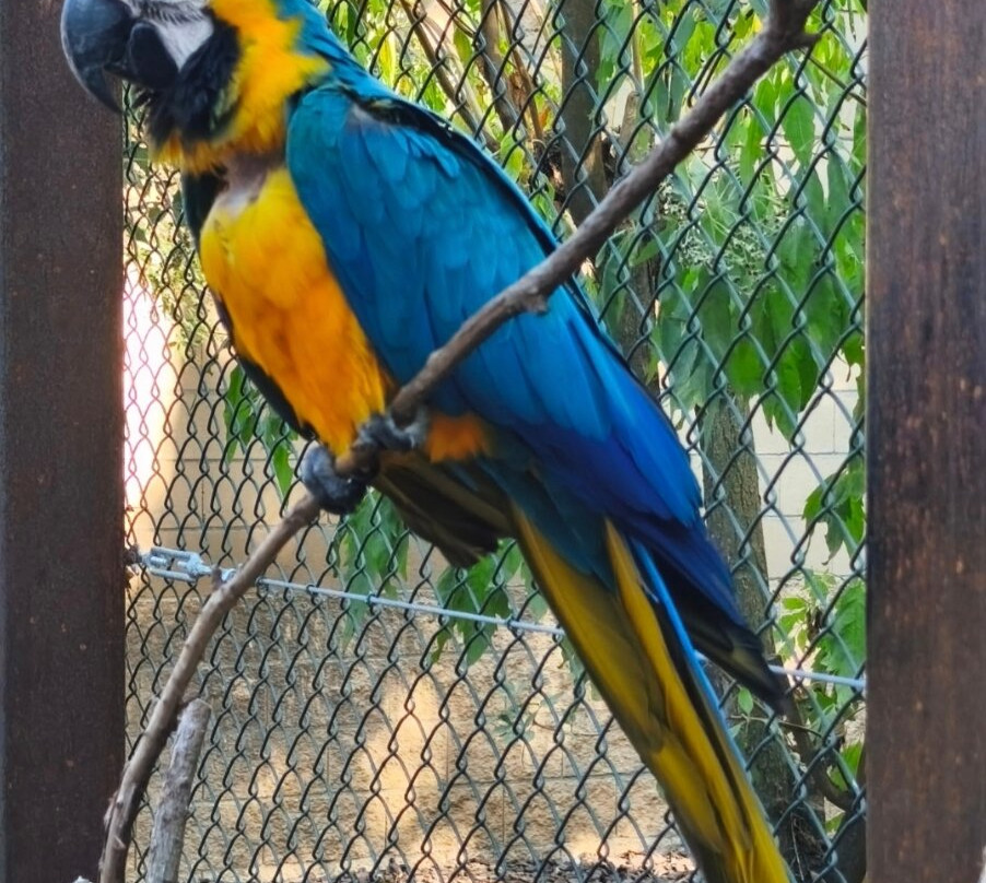 Butterfly Park-Castello d'Empuries必去景点