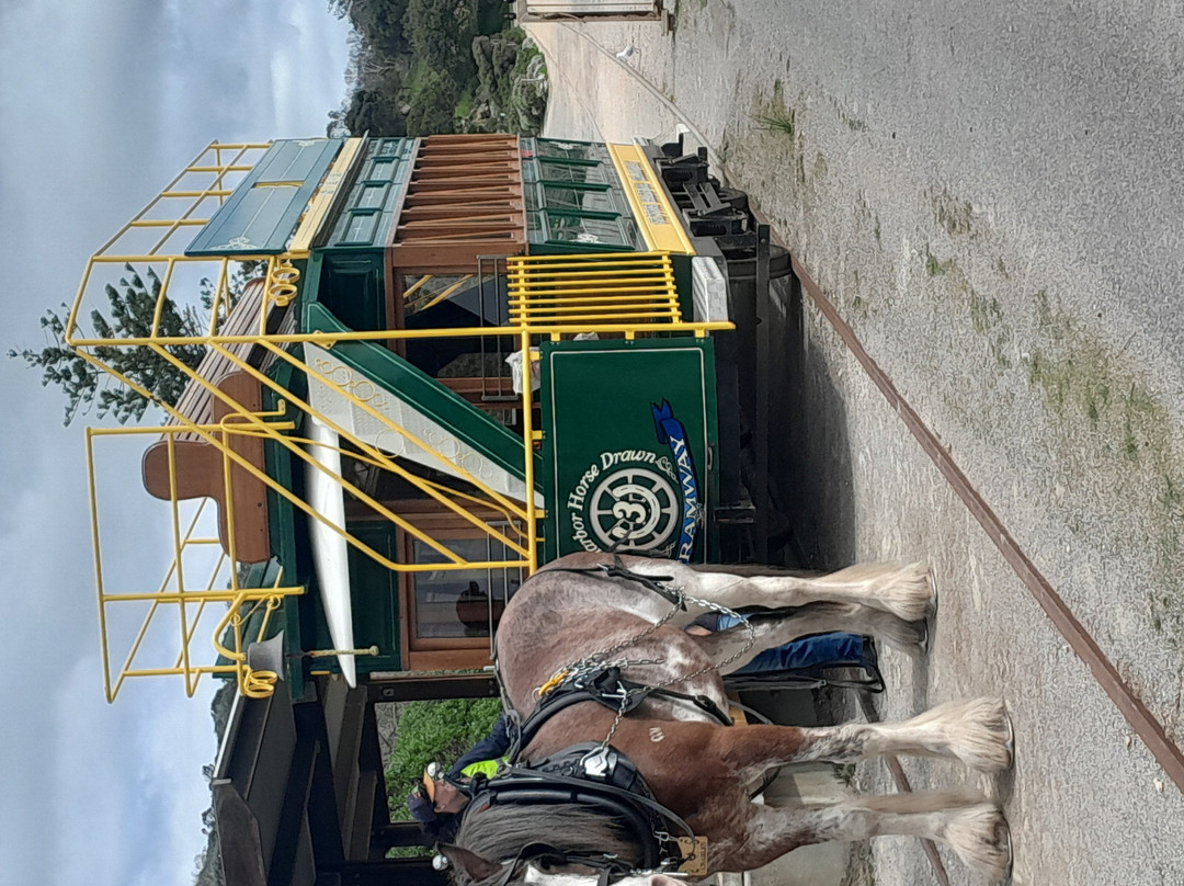 Victor Harbor Horse Drawn Tram-维克多港必去景点
