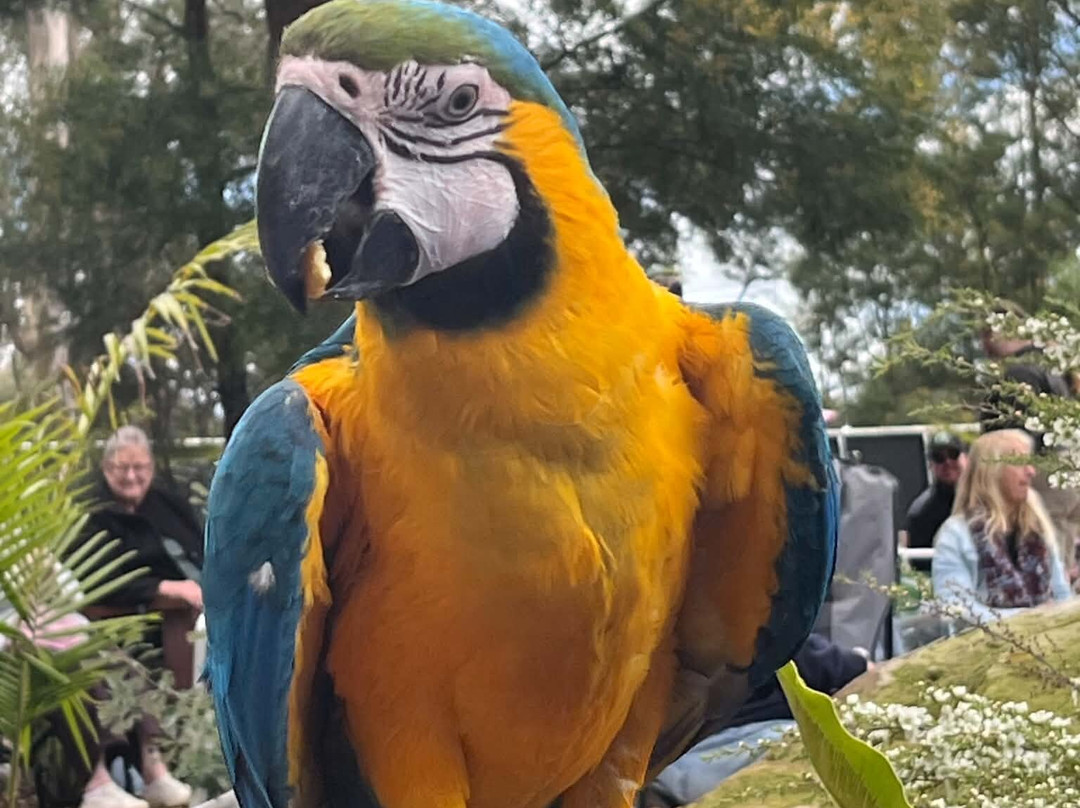 Feathered Friends-Orchard Hills必去景点