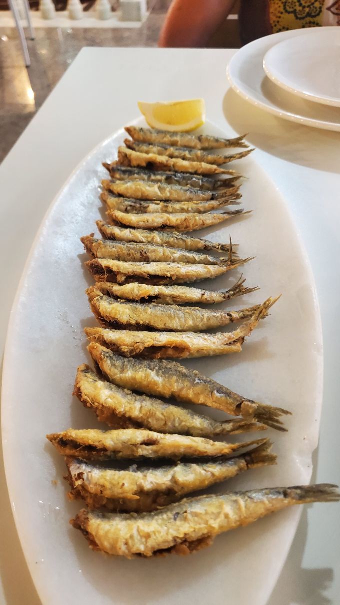 加特布兰卡布里莎加布酒店-旅行者