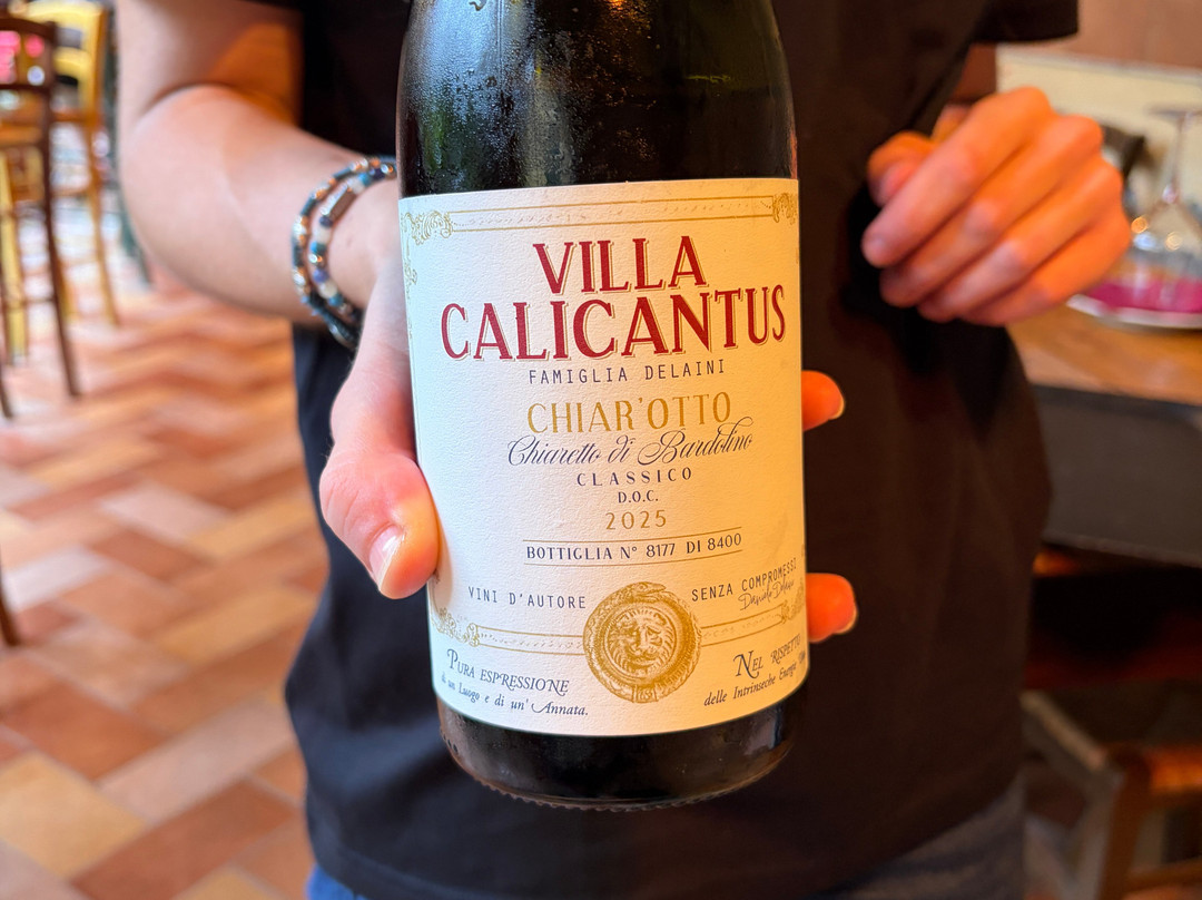 Villa Calicantus-Calmasino必去景点