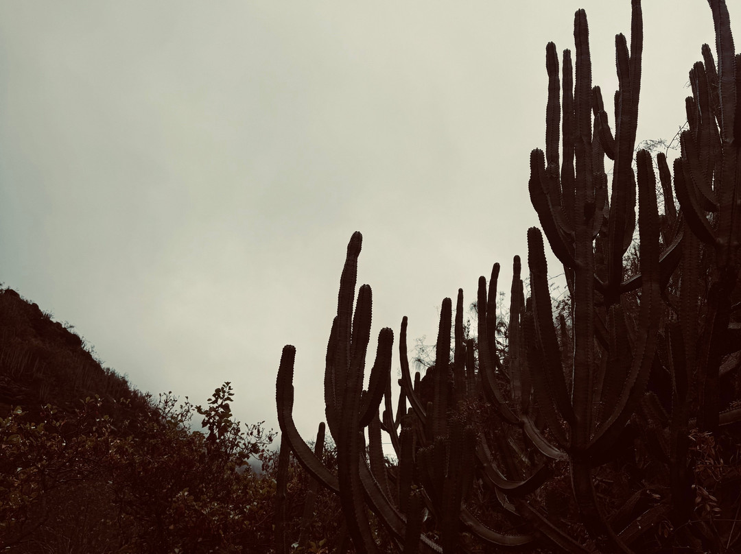 Barranco Del Infierno-奥德杰海岸必去景点