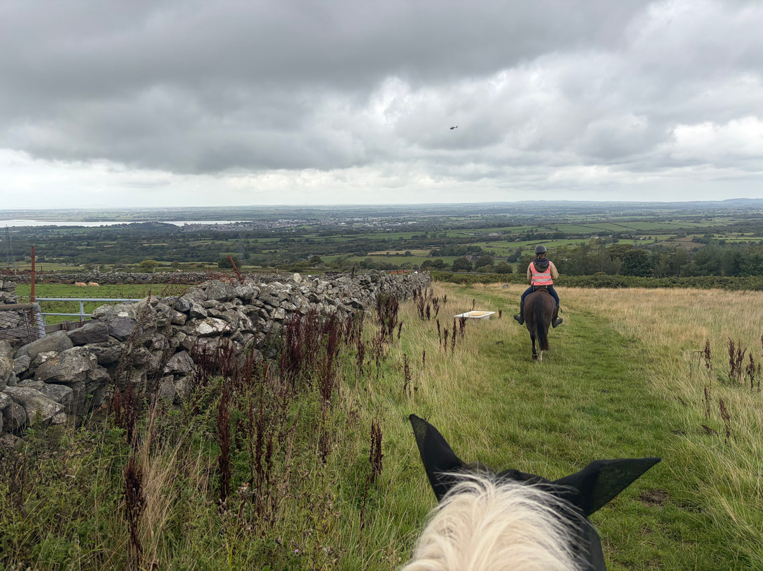 Snowdonia Riding Stables-卡那封必去景点