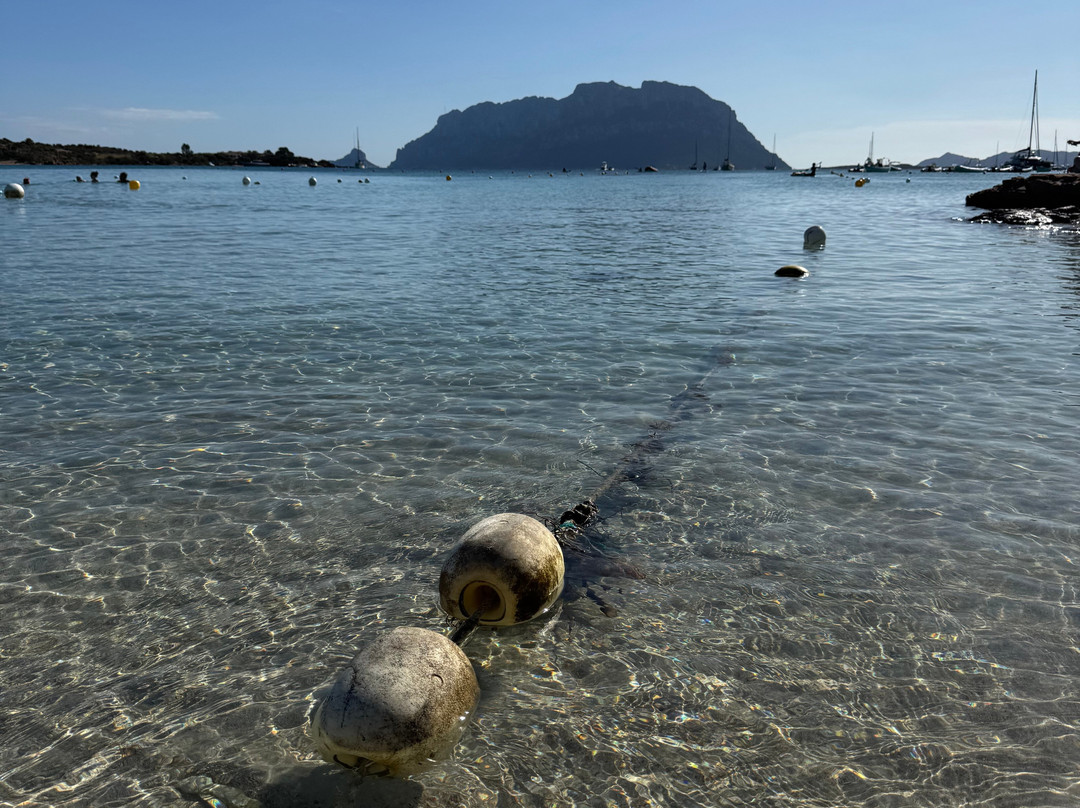 Spiaggia Sas Enas Appara-Porto Istana必去景点