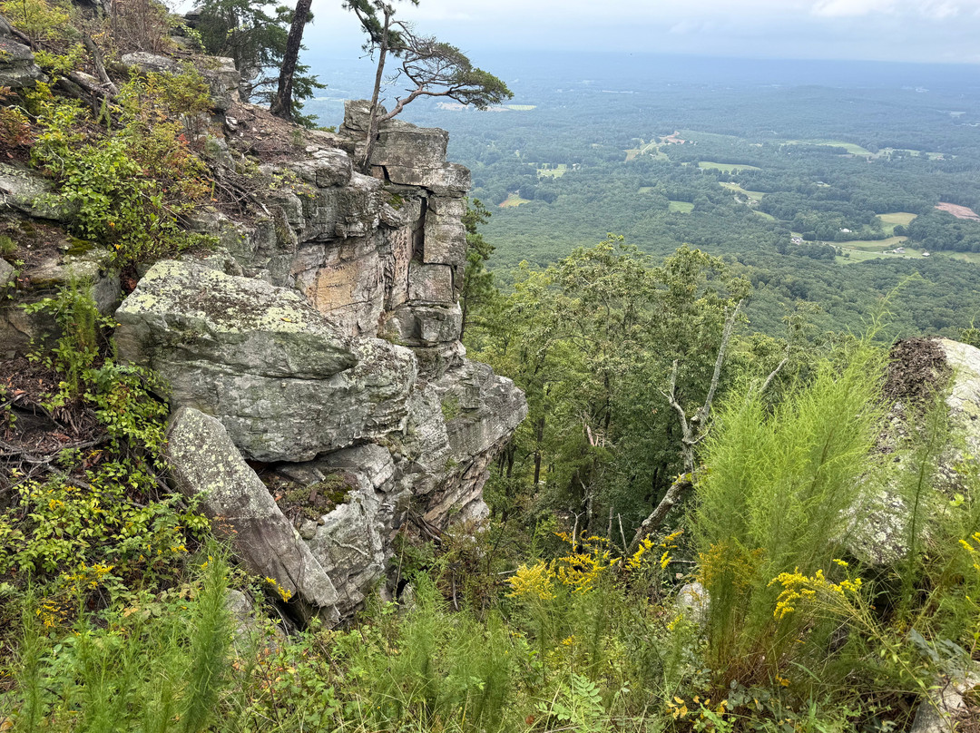 Pilot Mountain State Park-Pinnacle必去景点