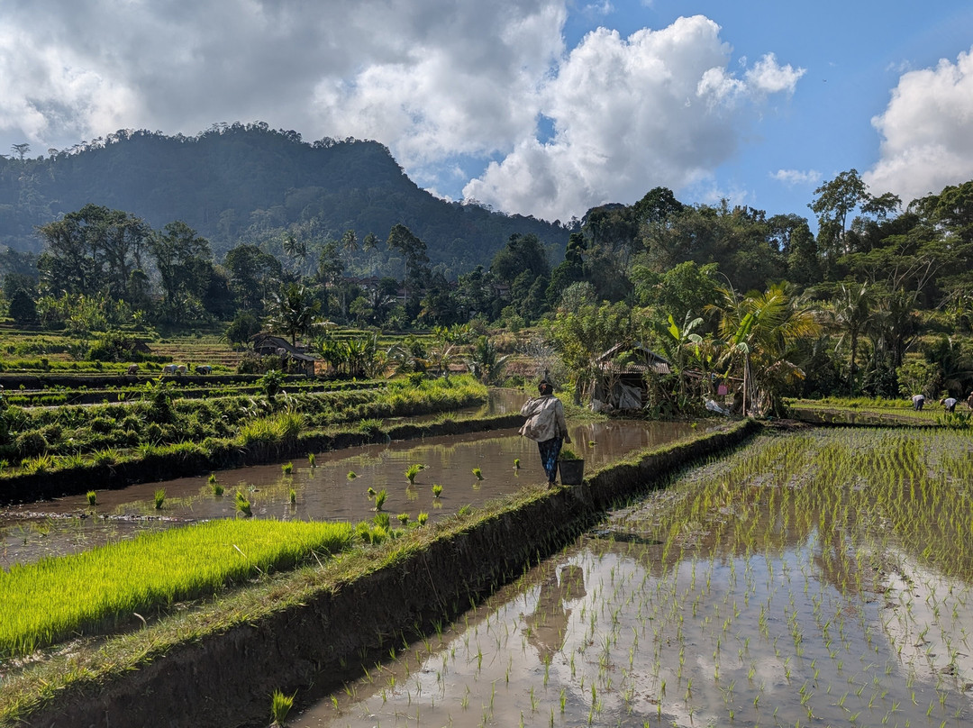 Suweca Bali Tour-南湾必去景点