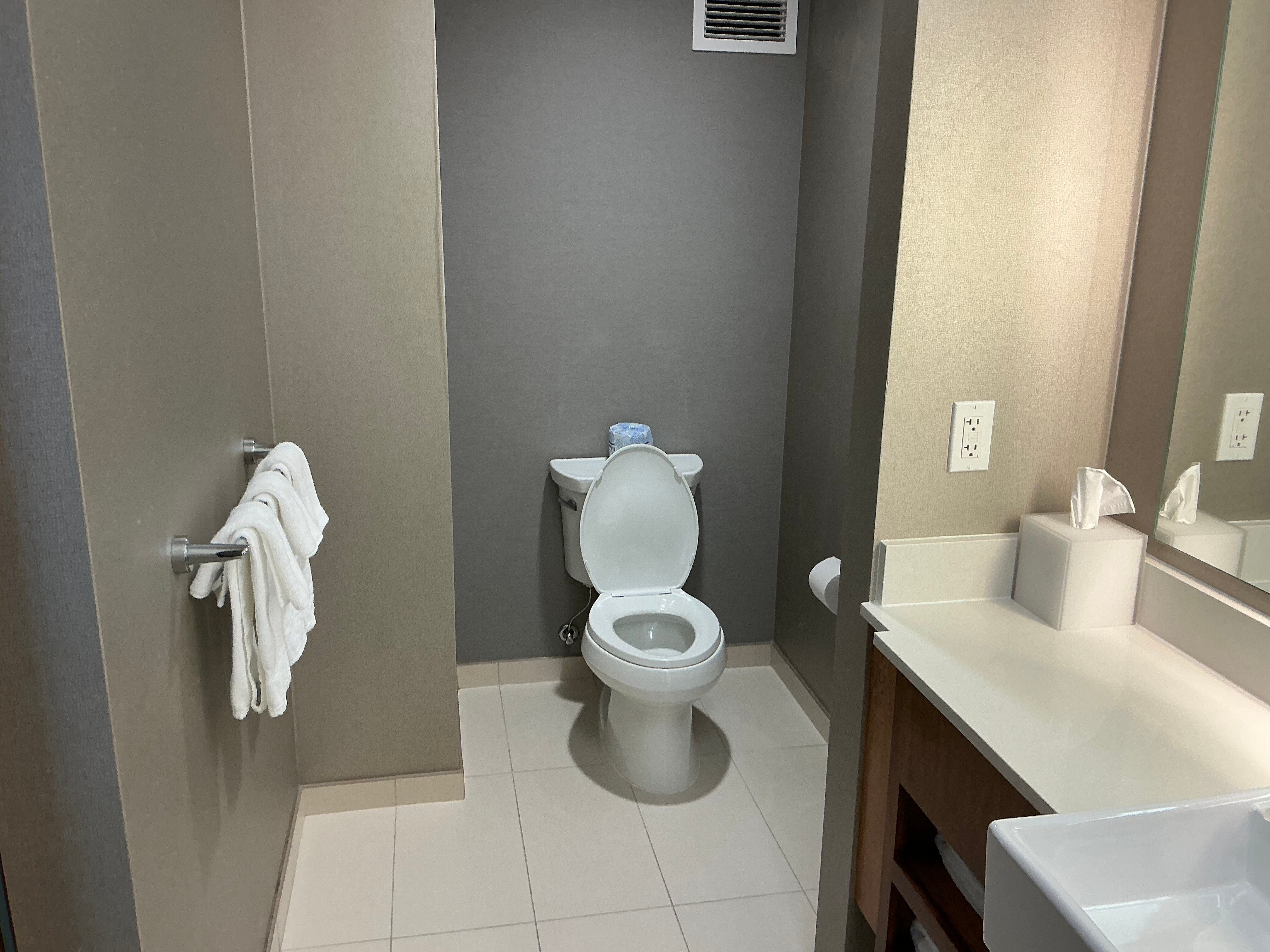戴德伍德万豪SpringHill Suites 酒店-浴室