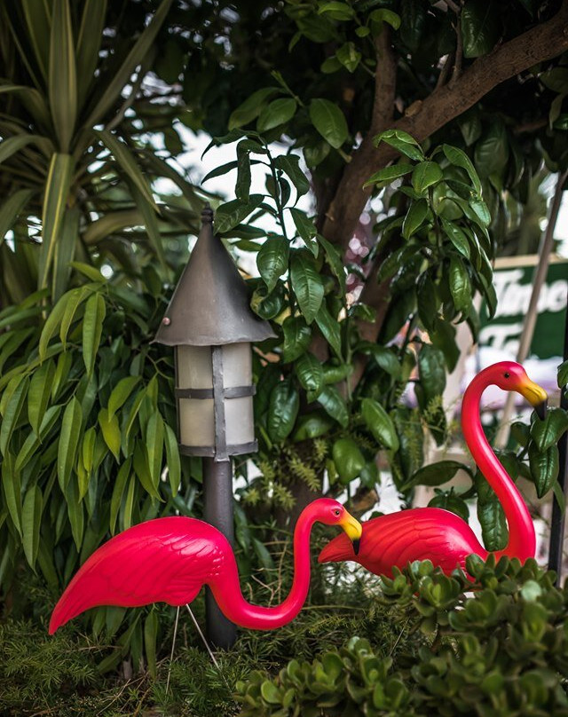 Flamingo Spa-Haifa必去景点