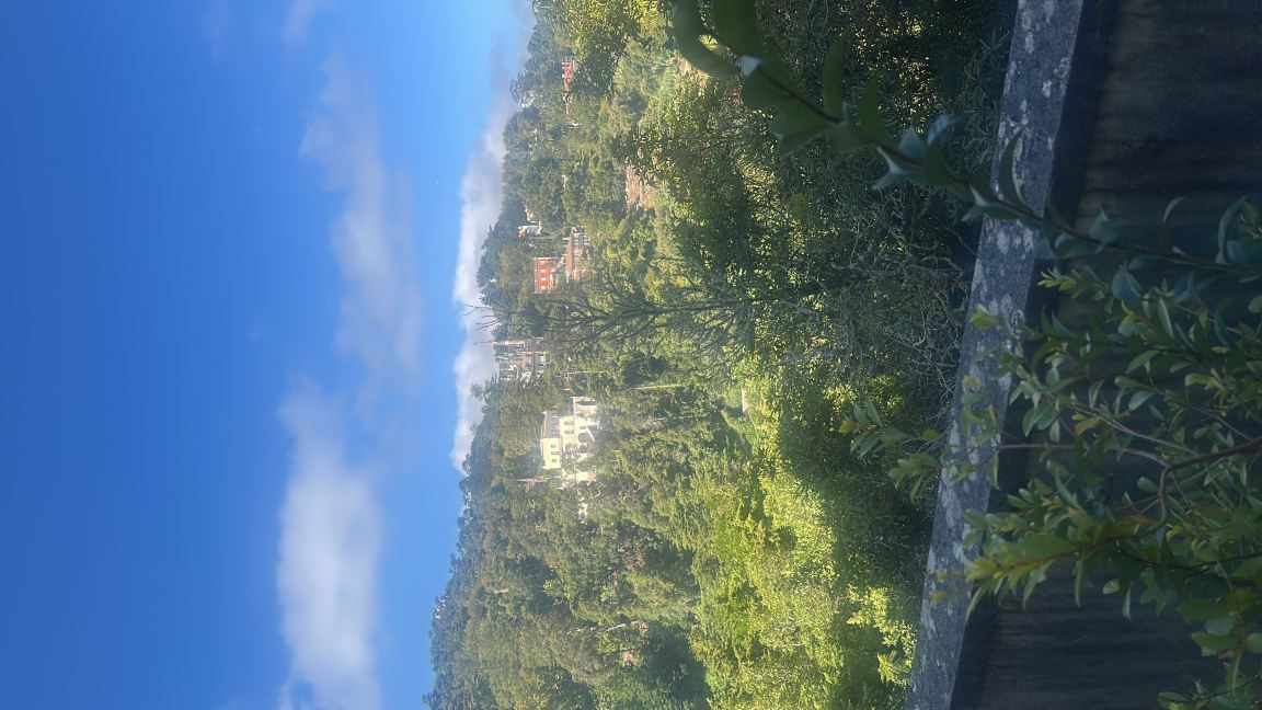 辛特拉中心 NH 酒店-旅行者