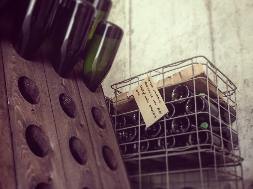 Cantine Umberto Bortolotti-Valdobbiadene必去景点