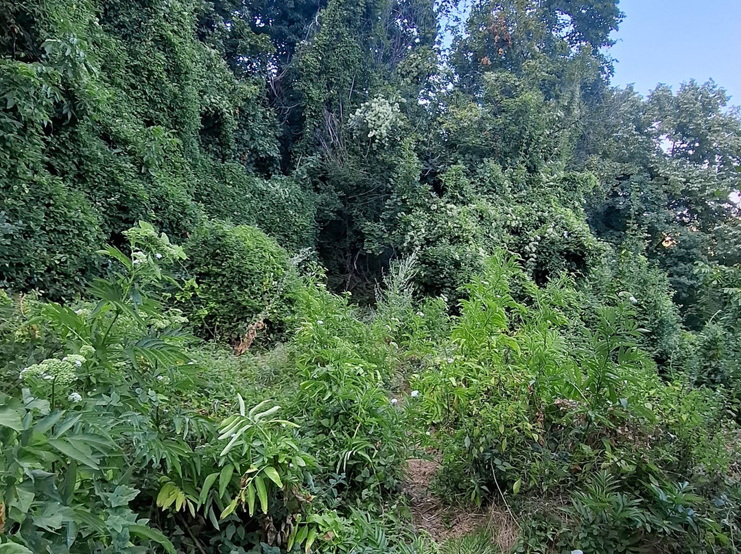 Monastery of the Holy Transfiguration of God-大特尔诺沃必去景点