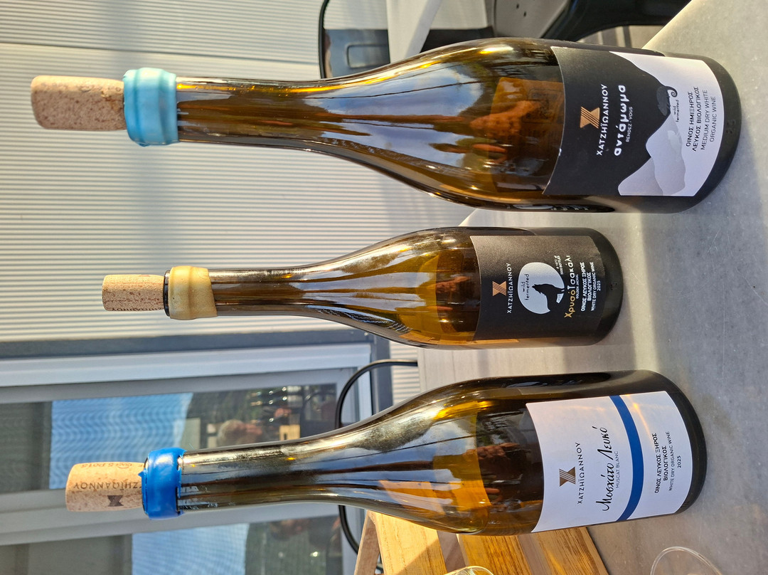 Hatziionnou Winery