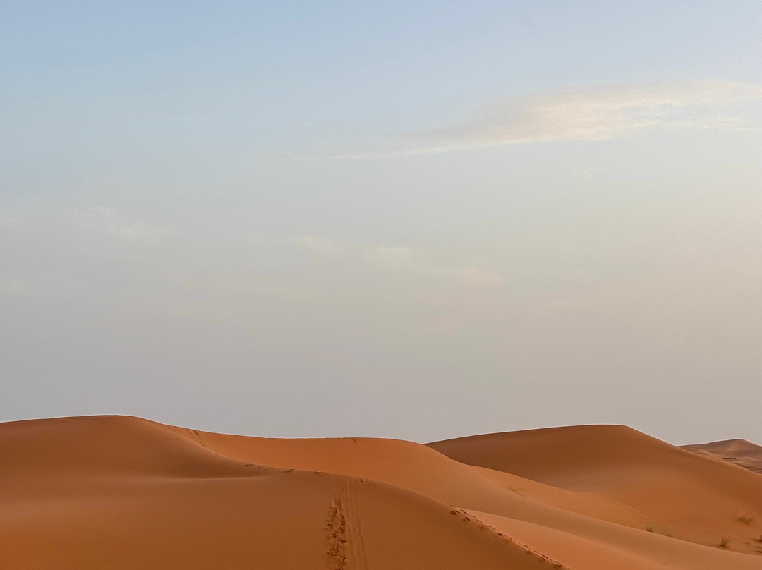 Agencia Marruecos Tours-非斯必去景点