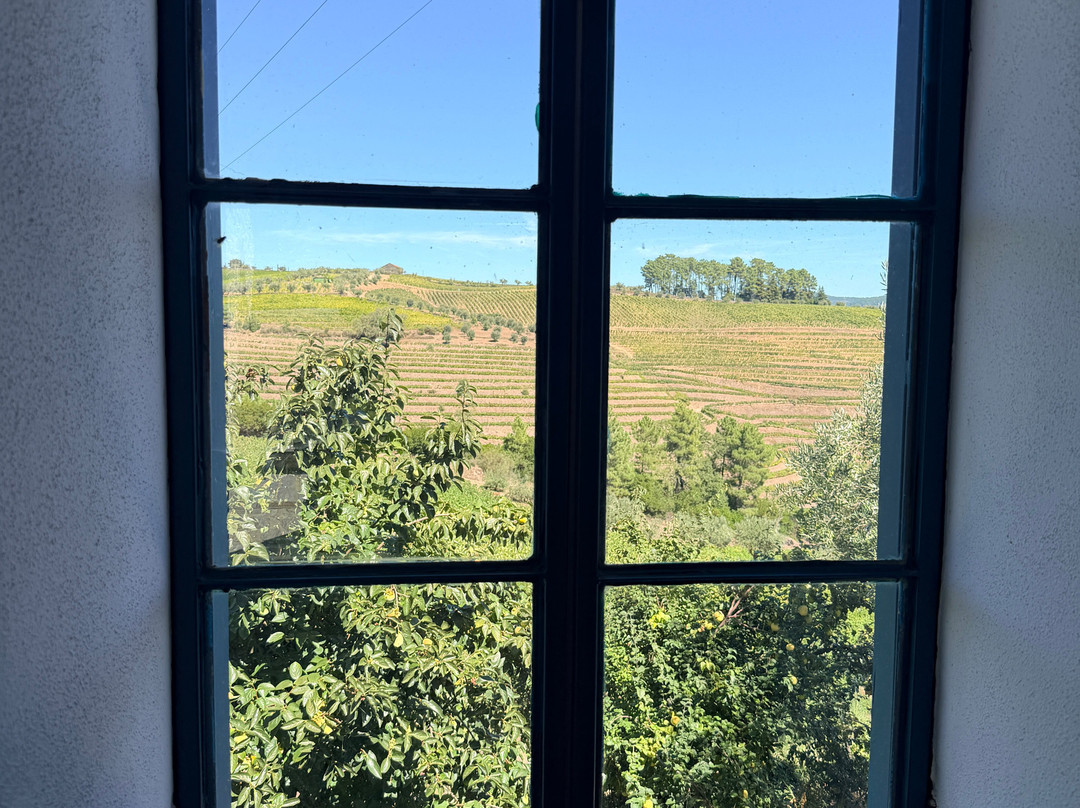 Quinta da Fonte do Milho-Provesende必去景点