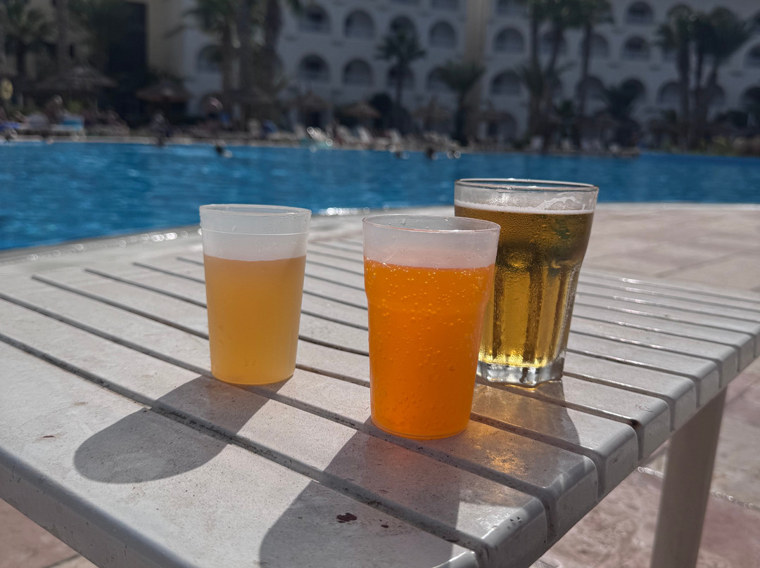 Hotel Sidi Mansour Resort & Spa主图