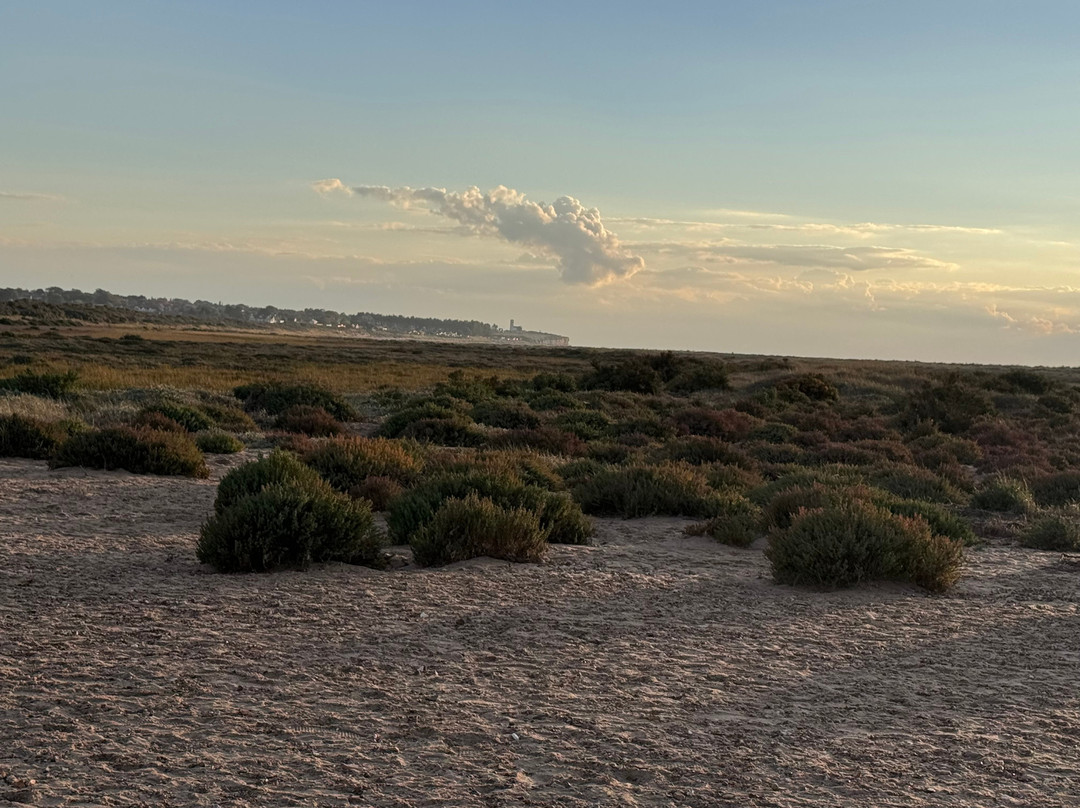 Holme-next-the-sea Beach-Hunstanton必去景点