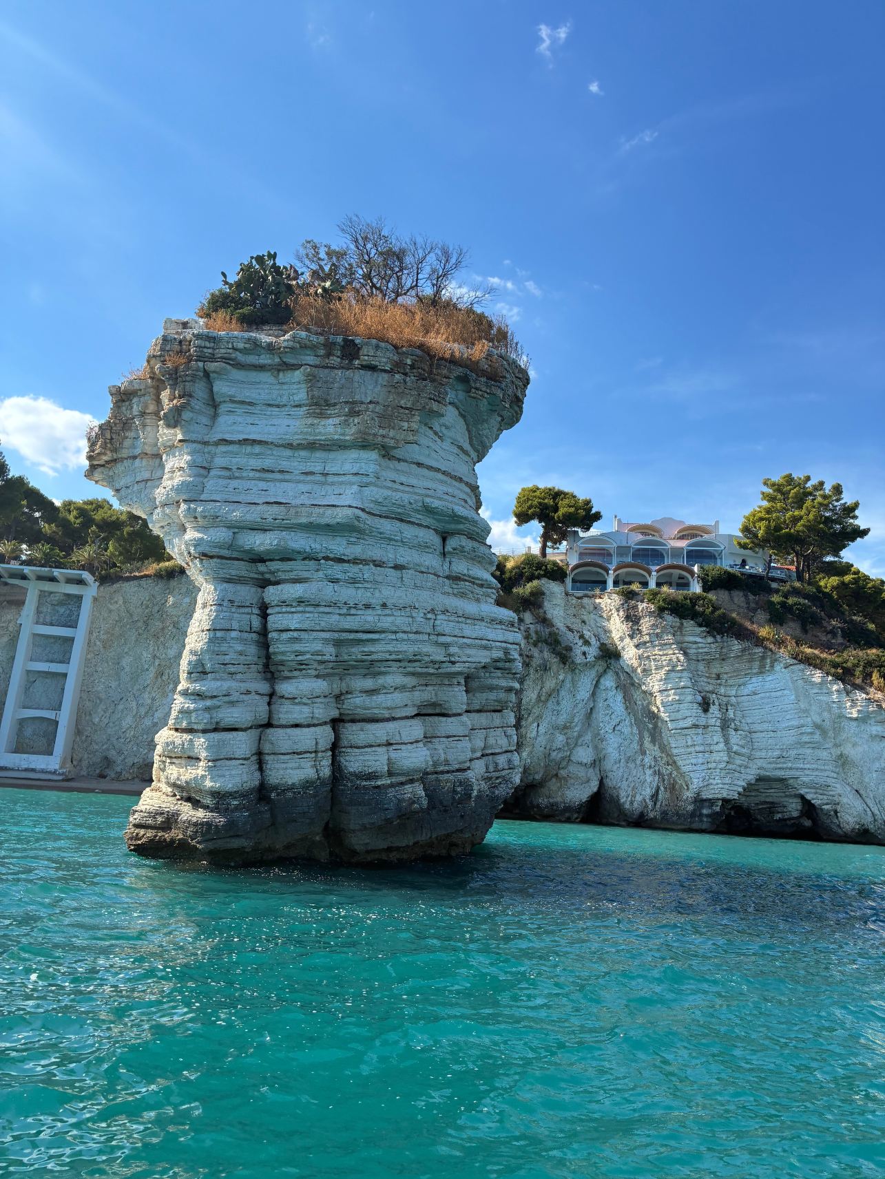 巴亚德勒扎加雷酒店-旅行者