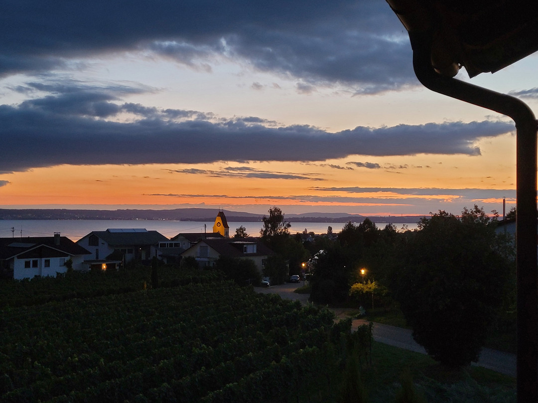 Weinberghof