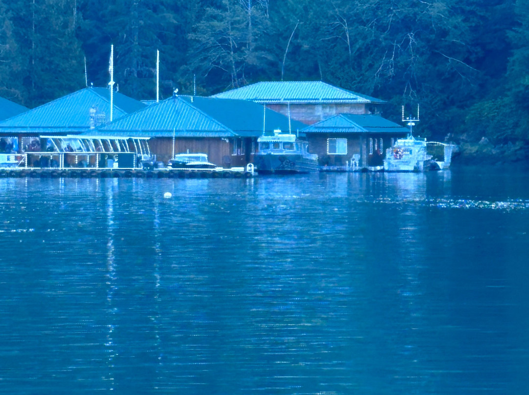 Knight Inlet Lodge主图